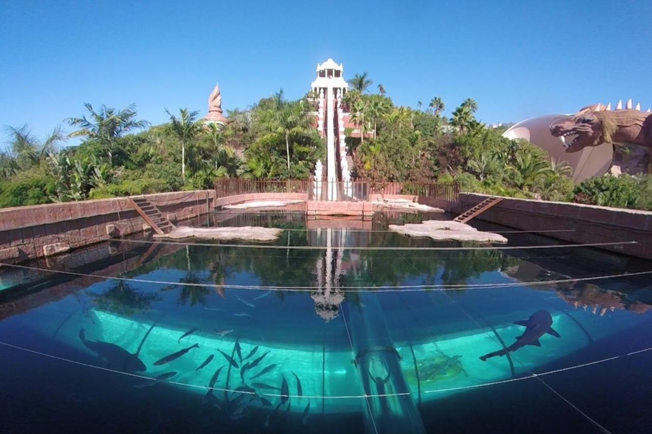 Ocean View Puerto Santiago Apartment By Dreamhomestenerife Puerto de Santiago  Ngoại thất bức ảnh